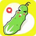 黄瓜社区app免费版