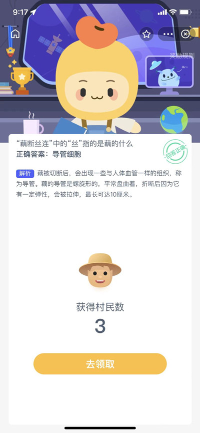 藕丝是藕的什么