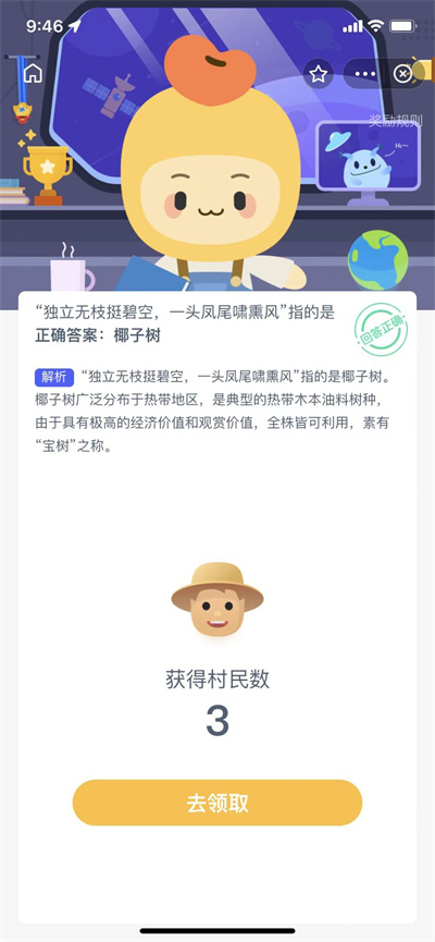 椰子树有什么诗句形容