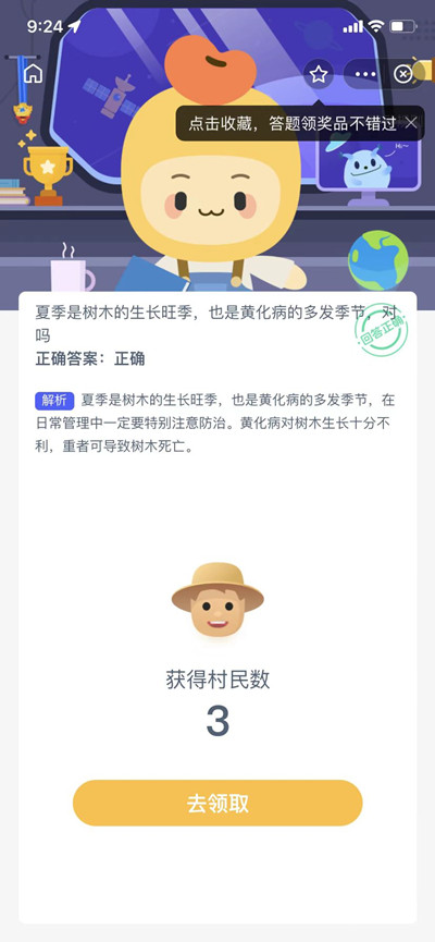 夏季是树木的生长旺季吗