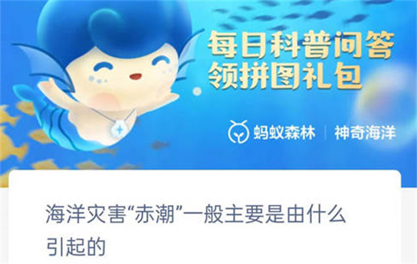 支付宝海洋灾害赤潮一般是有什么原因引起的