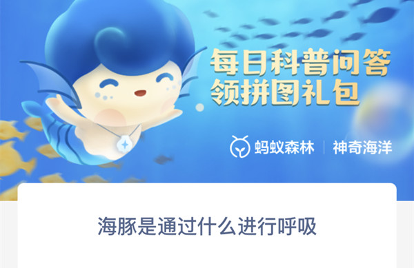 支付宝神奇海洋海豚是通过什么进行呼吸的